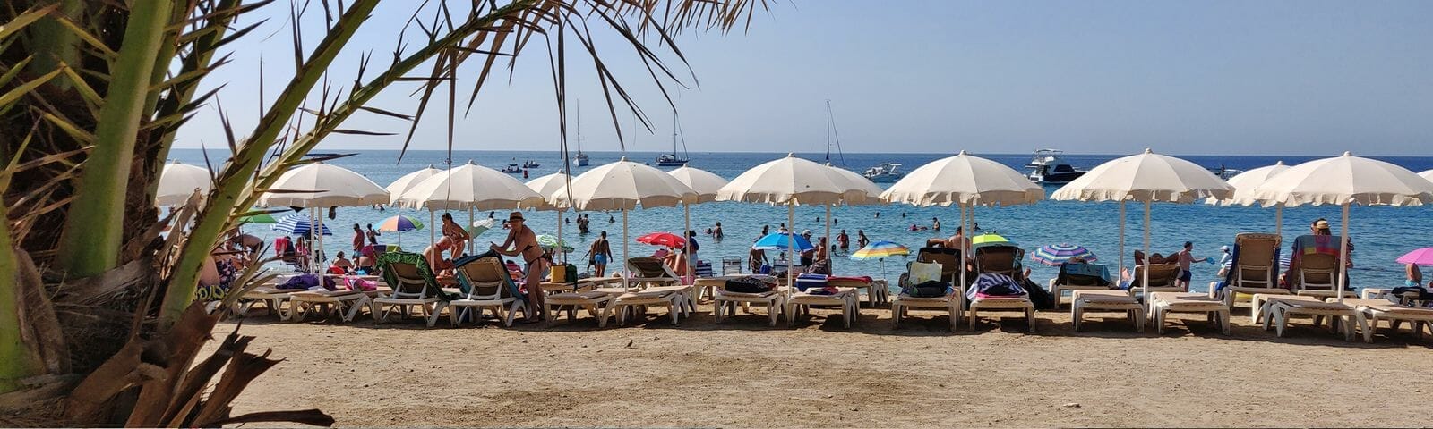 Villa kopen Benijofar | CB4Y-15061